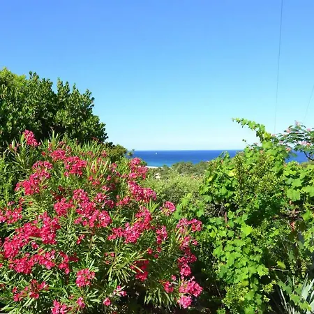 Alizé Vue Mer Incroyable, Piscine Location Entier 2 Pers Proche Plage Olmucciu