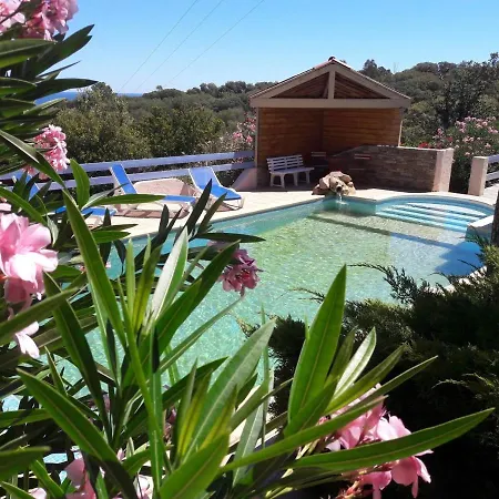Alizé Vue Mer Incroyable, Piscine Location Entier 2 Pers Proche Plage Appartamento
